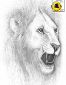 Importancia del comercio en la empresa