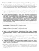 Ingeniería de software