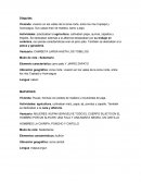 Resumen historia segundo basico