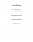 Constitución de yucatan