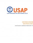 Macroeconomia trabajo