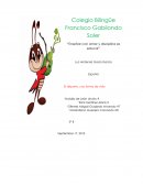 El deporte, una forma de vida