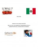 Influjo de los alimentos transgénicos en la alimentación de los mexicanos