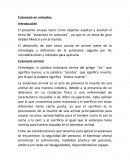 Eutanasia en animales