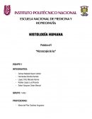 MICROSCOPIA HISTOLOGÍA HUMANA