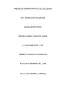 Proceso administrativo de ejecucion