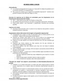 La mujer en la organizacion