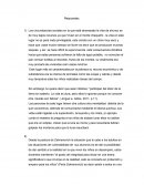 Trabajo practico de shunko