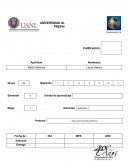 Actividad de aplicación Laboratorio de ejercicios de las leyes de Newton