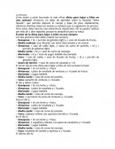 Ensayo sobre la deta