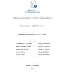 PRIMERA ENTREGA DEL PROYECTO DE AULA