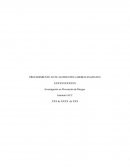 Procedimiento Ante accidente Grave