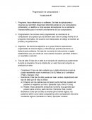 Programación de computadoras 1