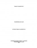 TRANSFERENCIA DE CALOR ACTIVIDAD TRABAJO COLABORATIVO 2