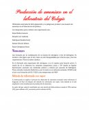 Producción de amoniaco en el laboratorio del Colegio