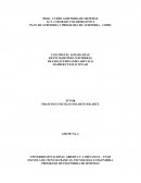 PLAN DE AUDITORIA Y PROGRAMA DE AUDITORIA – COBIT