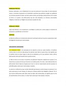 ESQUELETO DE UN DEBATE