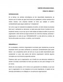 DISEÑO ORGANIZACIONAL ENSAYO