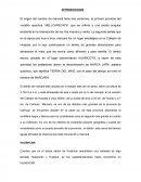 Informe sobre la población del uno de los caserios de marcara - huaraz-peru