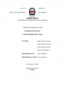 TIG EVALUACION DE PROYECTO