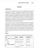 INSULINA