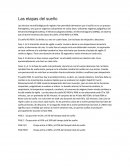 Las etapas del sueño