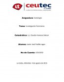 Tema: Investigación Feminismo