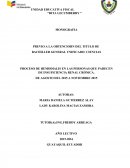 PROCESO DE HEMODIALIS EN LAS PERSONAS QUE PADECEN DE INSUFICIENCIA RENAL CRÓNICA