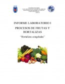 PROCESOS DE FRUTAS Y HORTALIZAS “Hortalizas congeladas”