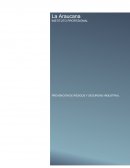 CONTROL DE RIESGOS OPERACIONALES