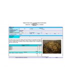 FORMATO ÚNICO PARA LA ELABORACIÓN DE INVENTARIOS TURÍSTICOS