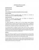 Células madre
