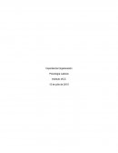 Importancia Organización Psicología Laboral