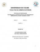 Factibilidad de la exportacion de dulces tradicionales. Borrachitos, alfajor y cocadas a Chile