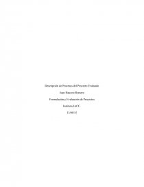 Descripción de Procesos del Proyecto Evaluado. Formulación y Evaluación de Proyectos. Página 1