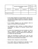 Normativas Internas de Higiene y Seguridad Industrial