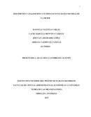 DESCRIPCIÓN Y ÁNALISIS PEST Y SU IMPACTO EN EL BANCO MUNDIAL DE LA MUJER