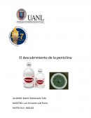 De oragnizacion y jerarquizacion. orientacion I.docx