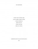 Proyecto empresa minera