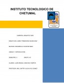 Ensayo de primavera silenciosa