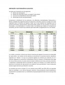 Ejemplo de aplicación de Investigación de Aplicaciones con Excel