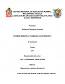 Observación y práctica Docente IV