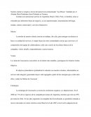 La visión de Cencosud es convertirse en el retailer más rentable y prestigioso de América Latina