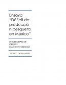 Ensayo Macroeconomico