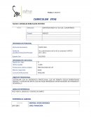 Formato cv staff