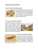 ¿Cuándo crecieron las primeras plantas?