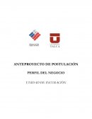 ANTEPROYECTO DE POSTULACIÓN PERFIL DEL NEGOCIO UNIDAD DE INCUBACIÓN