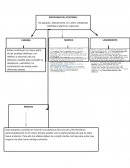 PRUEBAS DE PISTA REGLAS