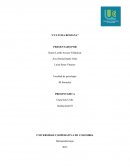 UBICACIÓN DEL ACTO: EL RAPTO DE LAS SABINAS