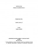 HORTICULTURA TRABAJO COLABORATIVO No 3